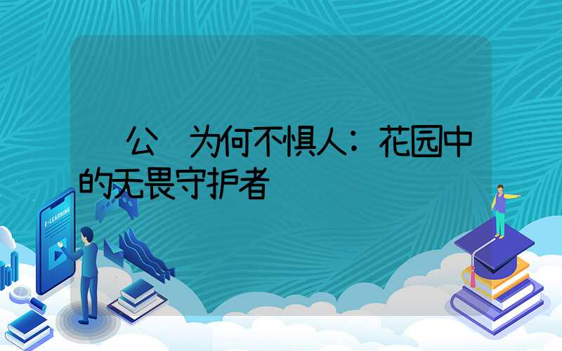 公鸡为何不惧人:花园中的无畏守护者